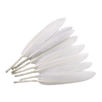 Перья куриные 10-15 см 25 шт. Белый_ПДД 048Б