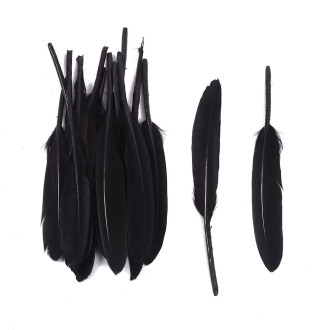 Перья куриные 10-15 см 25 шт. Чёрный_ПДД 048Ч