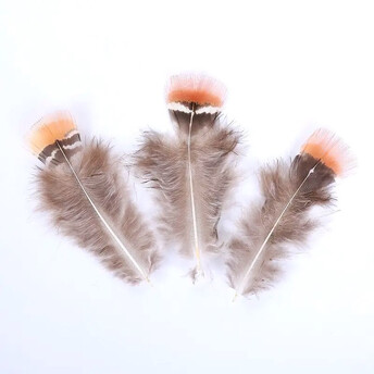 Перья фазана 4-7 см 10 шт.