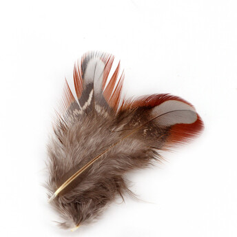 Перья куропатки 4-7 см 10 шт.