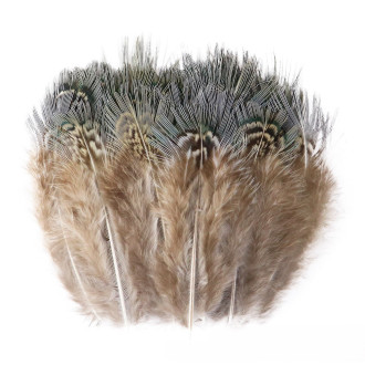 Перья фазана 4-7 см 10 шт. _ПДД 043