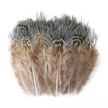 Перья фазана 4-7 см 10 шт. _ПДД 043