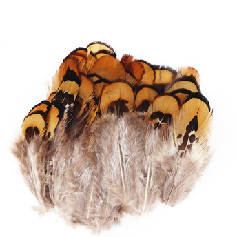 Перья фазана 4-7 см 10 шт.