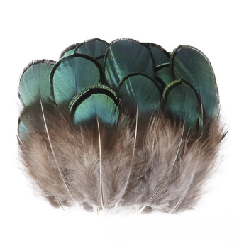 Перья фазана 4-7 см 10 шт. _ПДД 049