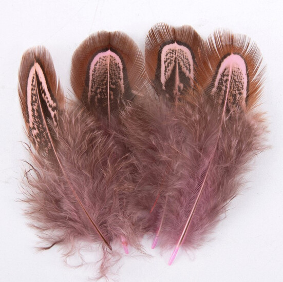 Куриные перья 4-8 см 10 шт. Розовый_ПДД019Р