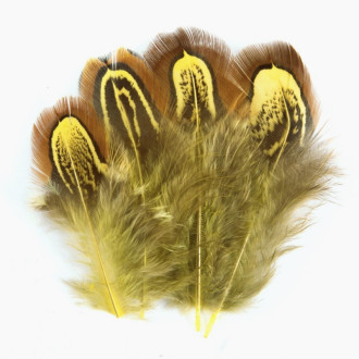 Куриные перья 4-8 см 10 шт. Желтый_ПДД019Ж