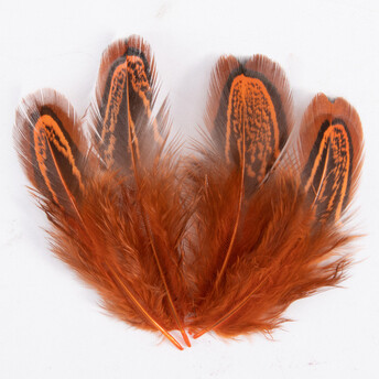Куриные перья 4-8 см 10 шт. Оранжевый_ПДД019О