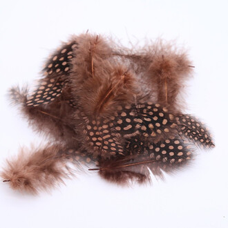 Перья цесарки 5-11 см 10 шт. Коричневый_ПД8 024К