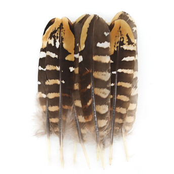 Перья фазана 10-15 см 1 шт.