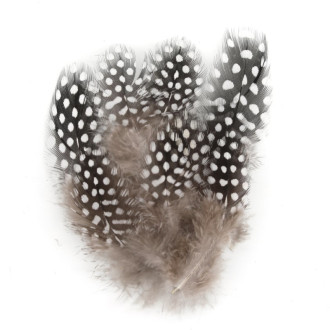 Перья цесарки 4-8 см 10 шт. _ПДД 002