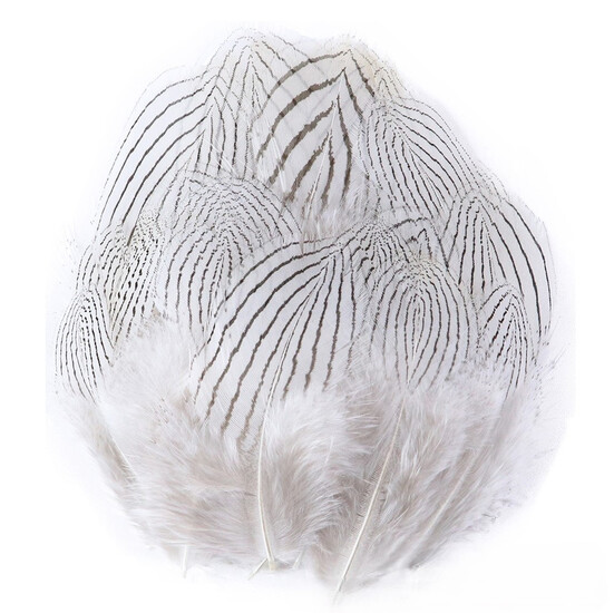 Перья куриные 4-7 см 5 шт._ПДД039