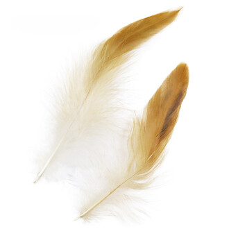 Перья куриные 10-15 см 20 шт. _ПДД 005