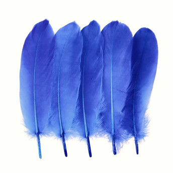 Перья гусиные 15-20 см 25 шт. Синий_ПДД 011С