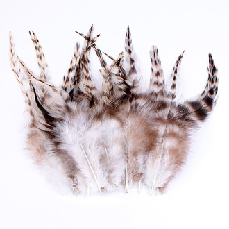 Перья куриные 8-15 см 10 шт. _ПДД 016