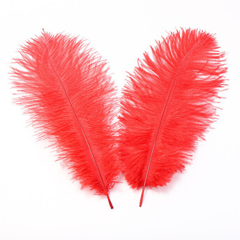 Перья страуса ЮАР 15-20 см 1 шт. Красный