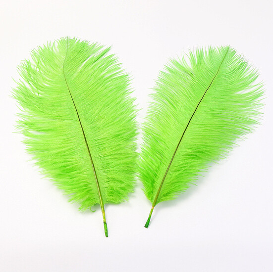 Перья страуса ЮАР 15-20 см 1 шт. Салатовый