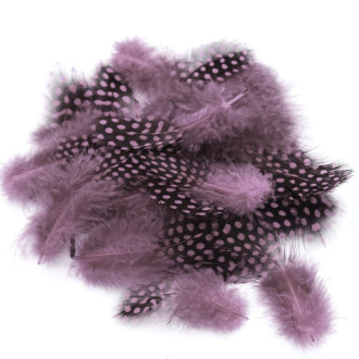 Перья цесарки 5-11 см 10 шт. Сиреневый