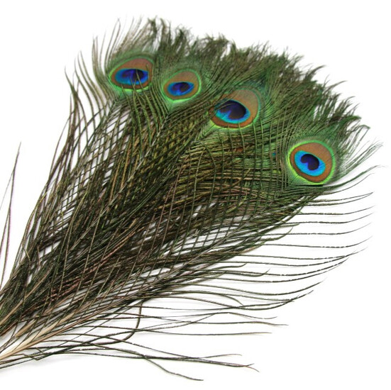 Перо павлина 25-35 см 1 шт.