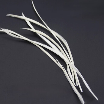 Перья тонкие гусиные 14-22 см 10 шт. Белый