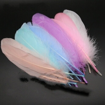 Перья гусиные 15-20 см 25 шт. Morandi Deep Mix