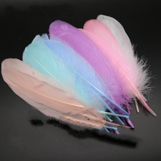 Перья гусиные 15-20 см 25 шт. Morandi Deep Mix