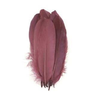 Перья гусиные 15-20 см 25 шт. Коричневый