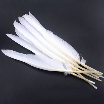 Перья гусиные заостренные 15-22 см 25 шт. Белый