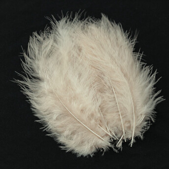 Перья марабу 10-15 см 25 шт. Бежевый