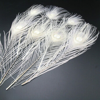 Перо павлина 25-35 см 1 шт. Бежевый