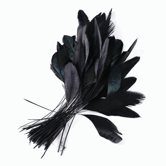 Куриные перья Antennas 10-20 см 10 шт. Черно-зеленый