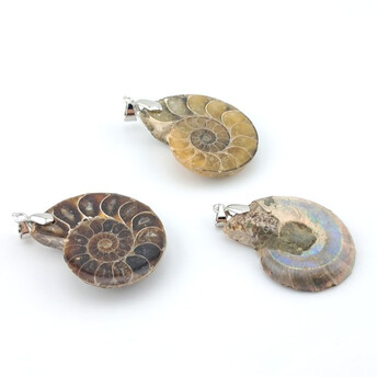 Кулон Аммонит окаменелость морской улитки 48х29 мм 1 шт.