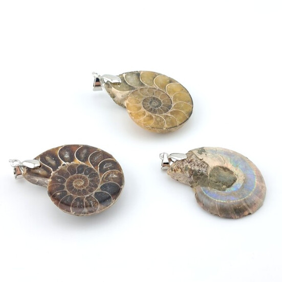 Кулон Аммонит окаменелость морской улитки 48х29 мм 1 шт.