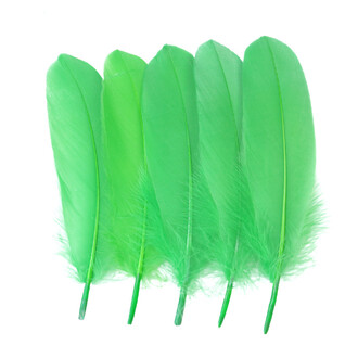 Перья гусиные 15-20 см 25 шт. Салатовый